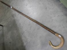 A Scottish style walking stick with bone handle. COLLECT ONLY