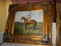 An oil on canvas racehorse study, frame a/f. COLLECT ONLY.