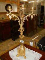 A gilded candelabra.