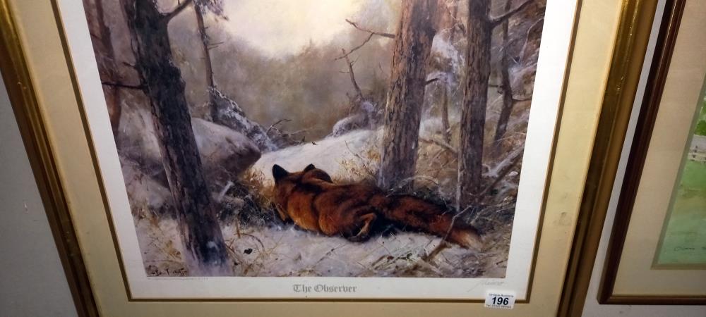 A framed and glazed fox print entitled 'The Observer' COLLECT ONLY - Image 2 of 2