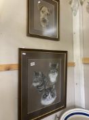 2 framed and glazed pastel animal studies by Denise G Sizer, a Fox Terrier and cats COLLECT ONLY