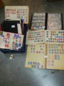 A large quantity of stamps in part filled albums.