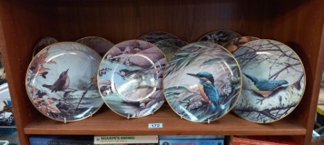 A quantity of Wedgwood RSPB collectors plates