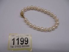 A white gold cultured pearl bracelet with 9ct yellow gold ball clasp.