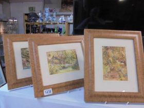 Three framed and glazed watercolours, COLLECT ONLY.