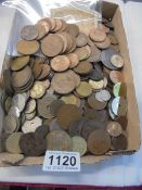 A good collection of UK and world coins including Victorian.