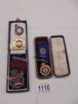 Four Hall marked Royal Order of Buffalos medals.