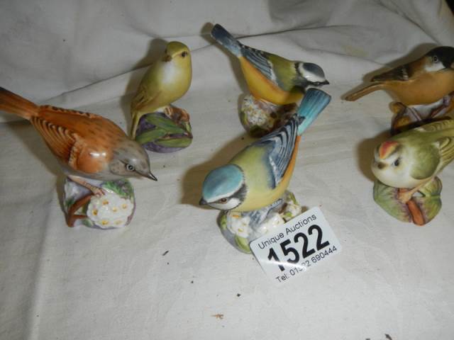 Six Royal Worcester porcelain birds. - Image 2 of 3