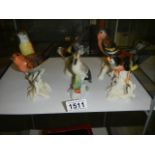 Six German porcelain bird figures.