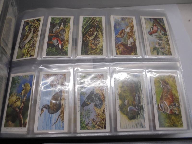 Two albums of sets of cigarette cards. - Image 3 of 12