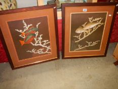 A pair of framed and glazed fish studies signed Roy Taylor, 1972. COLLECT ONLY.