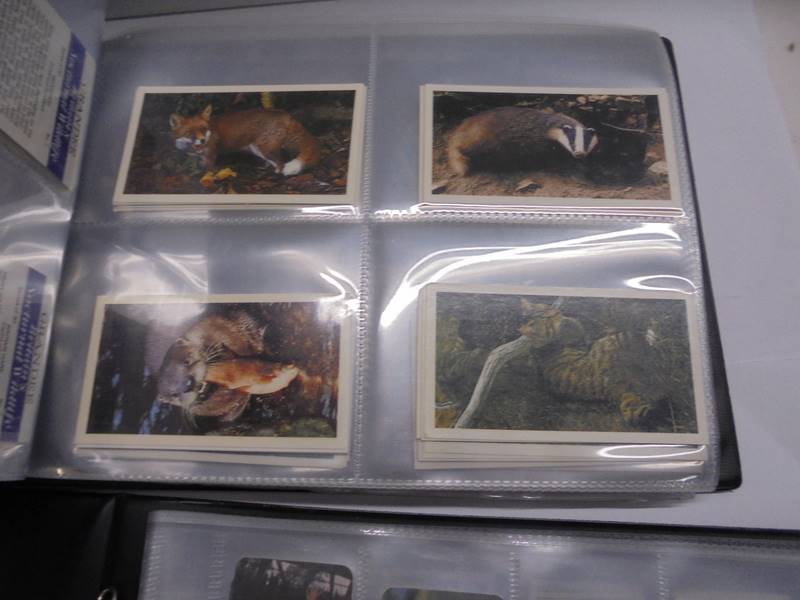 Two albums of sets of cigarette cards. - Image 6 of 12