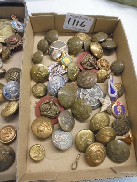 Three trays of assorted military buttons. - Image 4 of 4