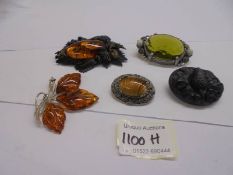 Five assorted brooches including amber and Irish Bog Oak.