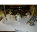 Six good porcelain bird figures.