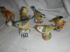 Six Royal Worcester porcelain birds.