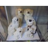 A pair of large Staffordshire poodles (1 a/f), 3 other Staffordshire dogs and a cat.