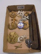 A quantity of military cap badges including Royal Scots Greys, MOD Guard Service etc.,