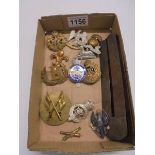 A quantity of military cap badges including Royal Scots Greys, MOD Guard Service etc.,