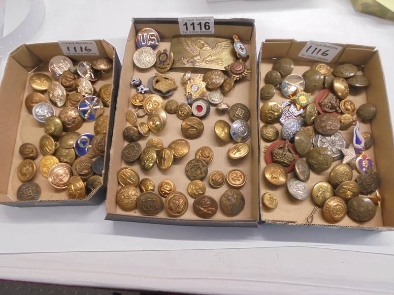 Three trays of assorted military buttons.