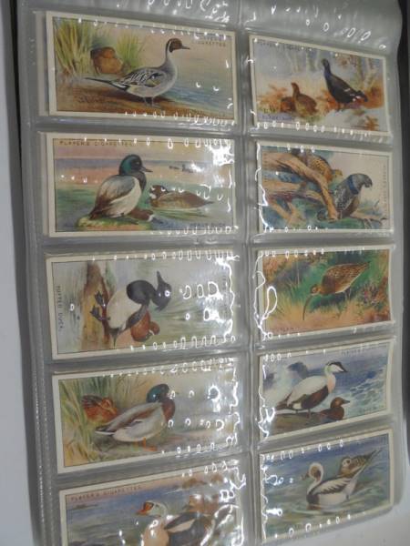 Two albums of sets of cigarette cards. - Image 7 of 12