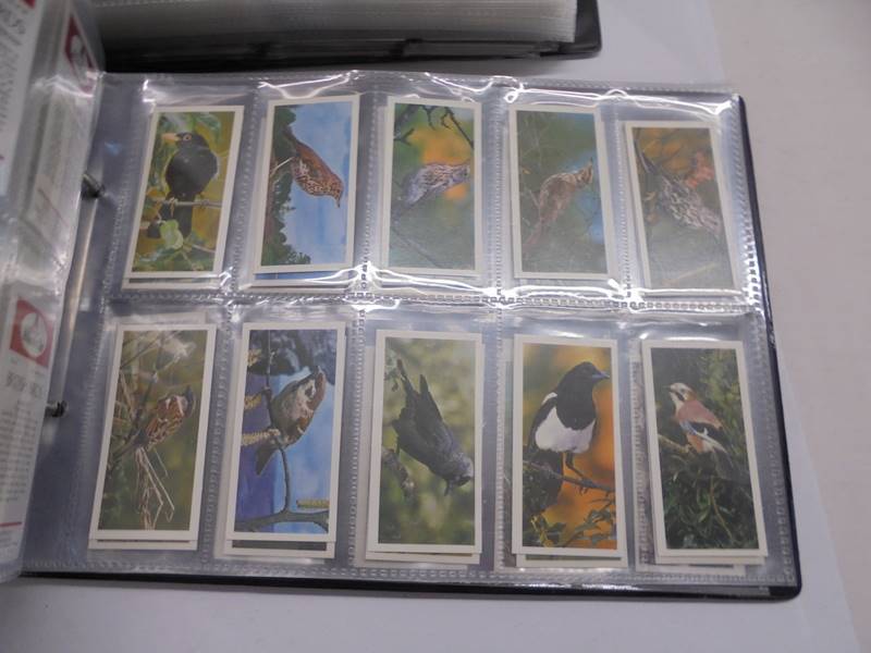 Two albums of sets of cigarette cards. - Image 9 of 12