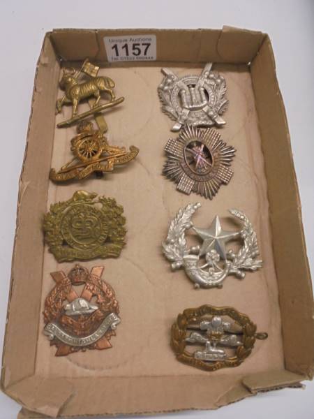 Eight military cap badges including Calgary Highlanders, Lake Superior Regiment etc.,