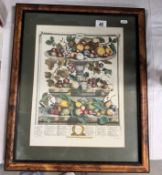 A framed & glazed print of a calendar June 1732