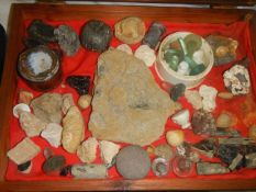 A mixed lot of minerals and other interesting items.