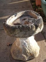 A Stone Bird Bath