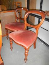 A pair of Victorian mahogany dining chairs, COLLECT ONLY.