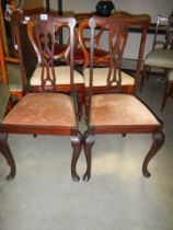 A pair of Edwardian mahogany dining chairs, COLLECT ONLY.