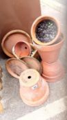 A good lot of terracotta pots.