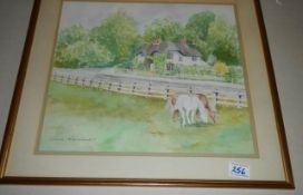A framed and glazed watercolour of horses in a field signed Olivia Woodward, COLLECT ONLY.