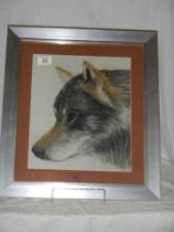 A framed and glazed watercolour of a wolf head,