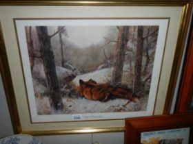 A framed and glazed fox print entitled 'The Observer' COLLECT ONLY.