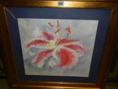 A framed and glazed floral study signed Joanna Woods, COLLECT ONLY