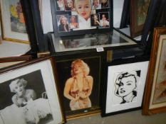 Five Marylin Monroe framed and glazed studies, COLLECT ONLY.