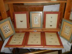 Eight framed and glazed butterfly and botanical prints, COLLECT ONLY.