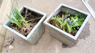 2 metal galvanised planters COLLECT ONLY