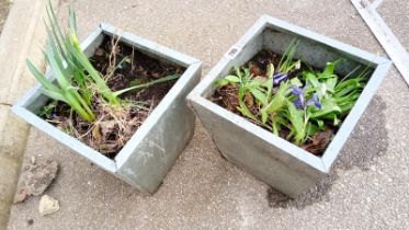 2 metal galvanised planters COLLECT ONLY