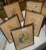 A set of five framed and glazed botanical prints, 22 x 30 cm. COLLECT ONLY.