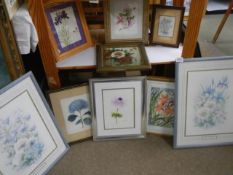 Nine framed and glazed botanical prints. COLLECT ONLY.