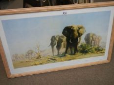 A framed and glazed David Shepherd print entitled 'The Ivory is Theirs', COLLECT ONLY.