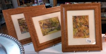 3 woodland Watercolours Signed R. Allsop