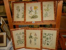 A set of six framed and glazed botanical prints, 38 x 32 cm, COLLECT ONLY.