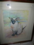 A framed and glazed painting of a Siamese cat, 54 x 47 cm COLLECT ONLY.