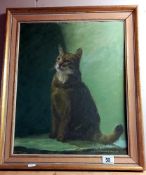 A vintage acrylic on board of a cat signed Stanley Miller 49 x 59cm COLLECT ONLY