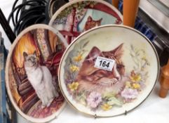 3 cat collectors plates