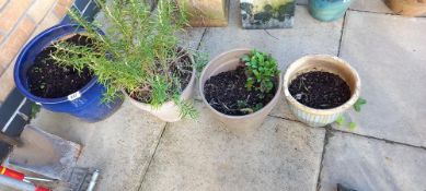 A glazed ceramic planter & 3 other ceramic pots
